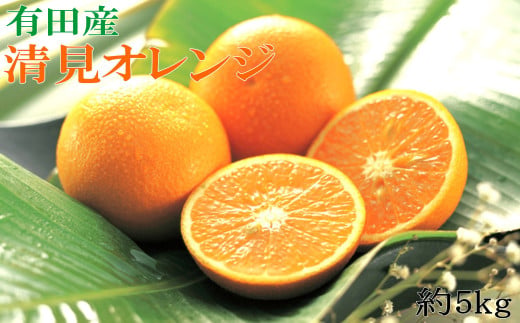 【濃厚】有田産清見オレンジ約5kg（サイズおまかせ 青秀以上） ※2027年2月中旬～2027年3月中旬頃発送予定（お届け日指定不可） / くだもの フルーツ 柑橘 オレンジ 清見オレンジ 和歌山 みかん【tec958】