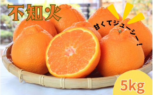  紀州有田産不知火(しらぬひ) 約5kg　※2025年2月中旬頃～2025年3月上旬頃に順次発送予定(お届け日指定不可)/ みかん 蜜柑 フルーツ 果物 くだもの しらぬい【uot709】