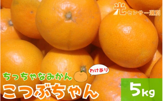 【訳あり】3S ちっちゃな有田みかん 5kg ※2024年11月中旬～2025年1月中旬までに順次発送予定（お届け日指定不可）※北海道・沖縄・離島への配送不可 訳ありみかん みかん ミカン 蜜柑 柑橘 フルーツ 果物 くだもの 温州みかんサイズ混合 訳ありみかん 有機質肥料100% ふるさと納税 柑橘 有田 産地直送【nuk163】