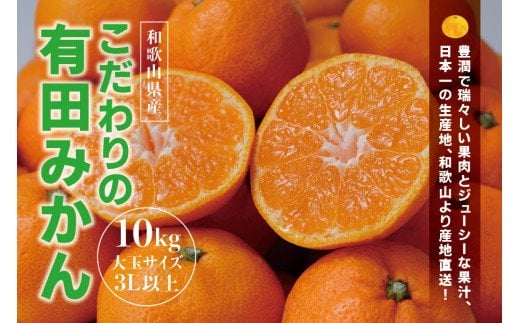【農家直送】有田みかん　約10kg  大玉3L以上　有機質肥料100%　※2025年12月初旬～1月中旬ごろ順次発送(お届け日指定不可)/ミカン 蜜柑 柑橘 フルーツ くだもの 果物 早生 温州 有田 【nuk139E】