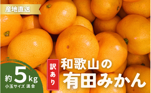 家庭用 訳あり 有田みかん 和歌山  小玉(2S,3Sサイズ混合) 5kg【10月上旬～1月下旬頃に順次発送】/ みかん フルーツ 果物 くだもの 有田みかん 蜜柑 柑橘【ktn010A】