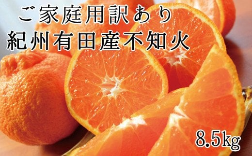  【ご家庭用訳あり】紀州有田産不知火(しらぬひ) 約8.5kg【予約】　※2025年2月中旬頃～2025年3月上旬頃に順次発送予定(お届け日指定不可) / 果物 フルーツ くだもの ミカン 不知火 デコポン 【uot507】