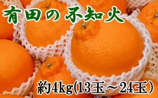  【先行予約】【濃厚】有田の不知火 約4kg（13玉～24玉おまかせ）  ※2025年2月上旬～2025年3月下旬頃順次発送予定（日付指定不可） /果物 くだもの フルーツ 蜜柑 みかん 不知火 デコポン 【tec863A】