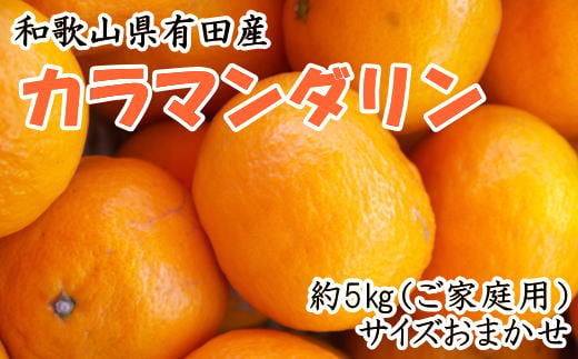 【春みかん】 和歌山県 有田産 カラマンダリン 約5kg 家庭用（サイズおまかせ） / くだもの フルーツ 果物 みかん カラマンダリン ※2027年4月上旬～5月中旬頃に順次発送予定 【tec015-c-5】