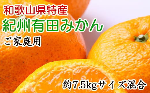 [ご家庭用]有田みかん約7.5kg(サイズ混合)【2024年11月中旬～2025年1月中旬頃順次発送】 / 果物 くだもの フルーツ 蜜柑 みかん 【tec884A】