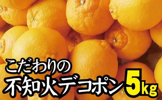 【農家直送】こだわりのデコポン不知火 約5kg 有機質肥料100% サイズ混合 ※2026年2月中旬～4月中旬より順次発送予定（お届け日指定不可）/ミカン 蜜柑 柑橘 デコポン フルーツ くだもの 果物 不知火 【nuk111C】