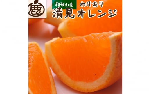 ＜2月より発送＞家庭用 清見オレンジ5.5kg+165g（傷み補償分）【光センサー食頃出荷】【樹上完熟きよみオレンジ・清見タンゴール・清美】【わけあり・訳あり】 ※北海道・沖縄・離島への配送不可【ikd166】