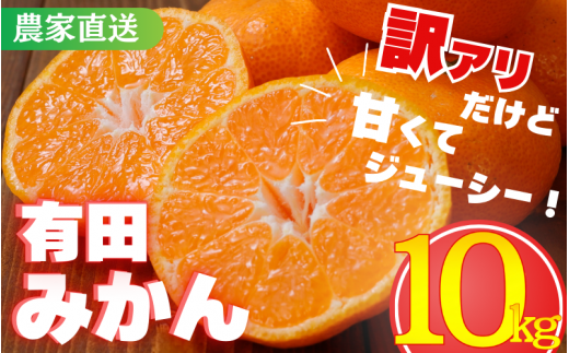 [訳あり]農家直送 有田みかん 約10kg ご家庭用 サイズ混合 ※2024年11月中旬から2025年1月中旬までに順次発送予定(お届け日指定不可)※北海道・沖縄・離島への配送不可 訳ありみかん 温州みかん サイズ混合 訳ありみかん 温州みかん 有機質肥料100% ふるさと納税 柑橘 有田 産地直送 みかん ミカン 11000円[nuk138C]