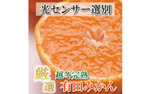 ＜先行予約＞厳選 越冬完熟みかん1.5kg+45g（傷み補償分）ハウスみかん・木熟みかん【光センサー選別】＜1月より発送＞※北海道・沖縄・離島への配送不可【ikd157】