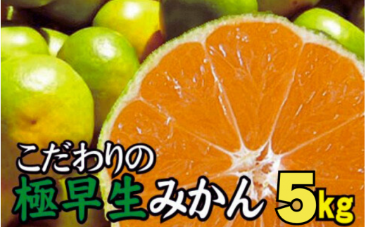 【2025年秋頃発送予約分】【農家直送】こだわりの極早生みかん 約5kg【数量限定】 有機質肥料100% サイズ混合 ※2025年9月下旬より順次発送予定（お届け日指定不可）【nuk152A】