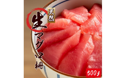 那智勝浦直送！天然生まぐろ 冊 500g / マグロ 鮪  まぐろ メバチ キハダ 魚 海鮮 刺身 柵 さく【uot806】