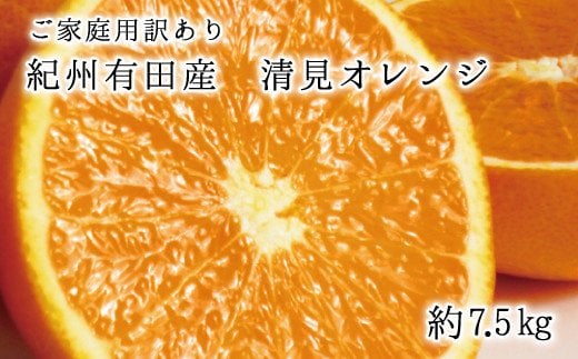  【ご家庭用訳アリ】紀州有田産清見オレンジ7.5kg　※2025年3月下旬頃～2025年4月中旬頃に順次発送予定(お届け日指定不可)  / みかん 蜜柑 フルーツ 果物 くだもの オレンジ 【uot730】