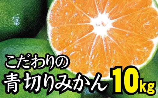  【2025年秋頃発送予約分】【農家直送】こだわりの青切りみかん 約10kg 有機質肥料100%　 サイズ混合　※2025年9月下旬より順次発送予定（お届け日指定不可）/ミカン 蜜柑 柑橘 フルーツ くだもの 果物 【nuk108B】