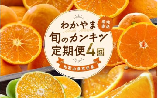 【全4回】和歌山旬のカンキツ定期便【L】3・5・9・11月発送（ご家庭用）※北海道・沖縄県・離島への配送不可 / 春の柑橘 初夏の柑橘 青切り 有田みかん 完熟有田みかん フルーツ くだもの 果物【ard-tkb907】