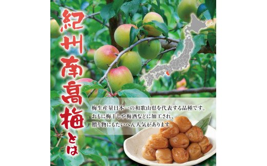 紀州南高梅　ええ塩梅　梅肉仕立てパック入 ×　18袋（25g/1袋）なかやまさんちの梅干 / うめ ウメ 梅干し【nky016】