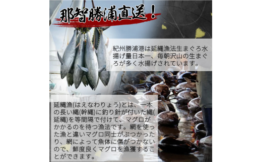 もちもち生まぐろ醤油漬け4P / マグロ 鮪  まぐろ 漬けマグロ 漬け 魚 海鮮 【uot808】