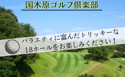 【和歌山県】 ゴルフ倶楽部平日プレー招待券 /ゴルフプレーチケット ゴルフ利用券 ゴルフ場 スポーツ 近畿 国木原 ラウンド 和歌山オープン PGA ギフト プレゼント【knh001】