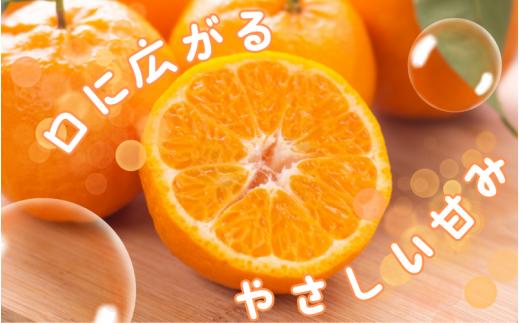 ç§å ãã³ã«ã³ 2kg â»ç®±èŸŒã¿ ãS~2Lã®ãµã€ãºããŸãããã2026幎1æäžæ¬ãã2æäžæ¬é ã«é 次çºéãïŒå³å¥œèŸ²åïŒ/ ãœããã èæ ã¿ãã ææ© æç© ãã«ãŒã ãagy027ã