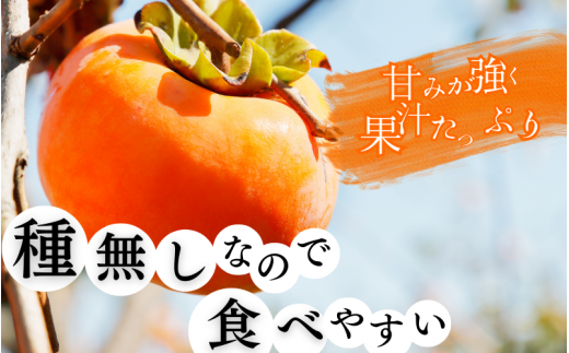  和歌山秋の味覚　平核無柿（ひらたねなしがき）約4kg　化粧箱入　※2025年10月上旬頃～2025年10月末頃順次発送（お届け日指定不可）/柿 果物 フルーツ くだもの 先行予約【uot701A】