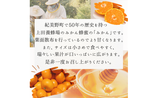 【ご家庭用】数量限定 和歌山県産 みかん蜂蜜養蜂家さんが作ったみかん。S,SSサイズ混合 4.8kg 【2024年11月下旬～12月末までに順次発送】/ みかん ミカン  温州みかん 紀美野町 和歌山 甘い 小さい 小粒 数量限定【twn018】