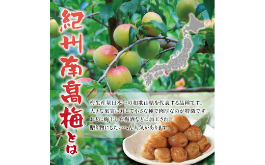 紀州南高梅 つぶれ梅 かつお【ハチミツ入】塩分10%（500g）なかやまさんちの梅干 / 梅干し 梅干 梅 うめ ウメ【nky017-205k】