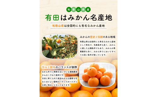 有田育ちのご家庭用完熟 有田みかん 2.2kg ※2024年11月上旬～12月下旬頃に順次発送【ard201】