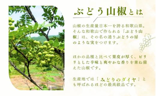  冷凍 ぶどう 生実山椒 250g / 山椒 さんしょう 香辛料 調味料 薬味 冷凍 ぶどう山椒 生山椒 和歌山県 紀美野町 生実山椒【twn020】