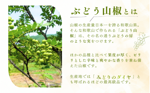  冷凍 ぶどう 生実山椒 500g / 山椒 さんしょう 香辛料 調味料 薬味 冷凍 ぶどう山椒 生山椒 和歌山県 紀美野町 生実山椒【twn006B】