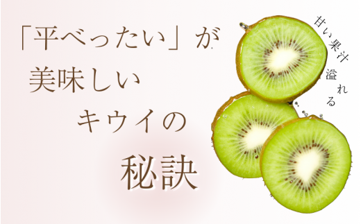 ＜2024年11月より発送＞家庭用 キウイフルーツ2kg+60g（傷み補償分）【わけあり・訳あり・扁平果】※北海道・沖縄・離島配送不可 / 和歌山  フルーツ 果物 くだもの 旬 キウイフルーツ キウイ 栄養たっぷり【ikd703】