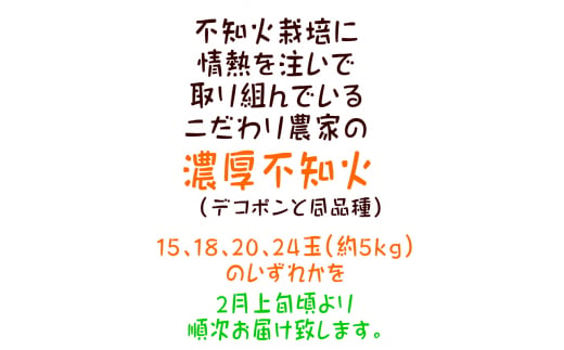 【先行予約】こだわり農家の濃厚不知火（デコポンと同品種） 約5kg (15～24玉)　※2025年2月上旬～3月下旬頃に順次発送予定 ※着日指定不可【ard065A】