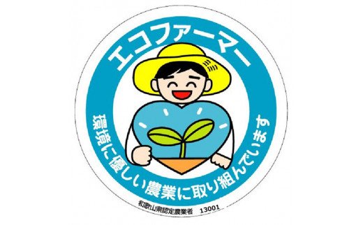  【 県認定エコファーマー】採れたてタネなし柿Ｌサイズ7.5kg/柿 フルーツ 果物 くだもの 先行予約 タネなし 食品 人気 おすすめ 送料無料 和歌山 【art001A】