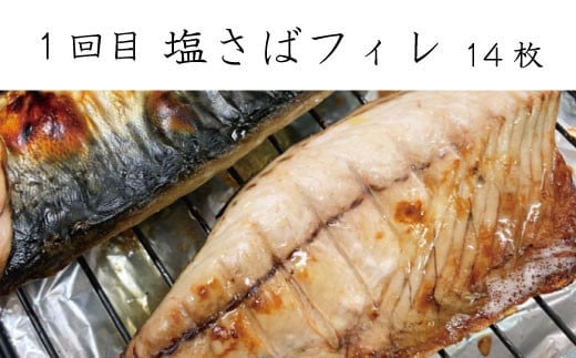 【全3回定期便】和歌山からお届け おさかな定期便　サバ・ウナギ・サケ/魚 魚貝 海鮮 鰻 うなぎ サバ 鯖 鮭 サケ 定期便  【tkb131】