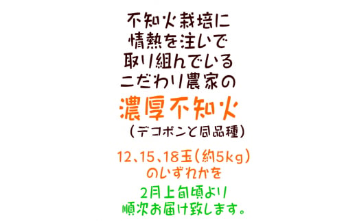 【先行予約】こだわり農家の濃厚不知火 約5kg (12～18玉) みかん ミカン 蜜柑 果物 フルーツ 国産　※2025年2月上旬～3月下旬頃に順次発送予定 ※着日指定不可【ard066A】