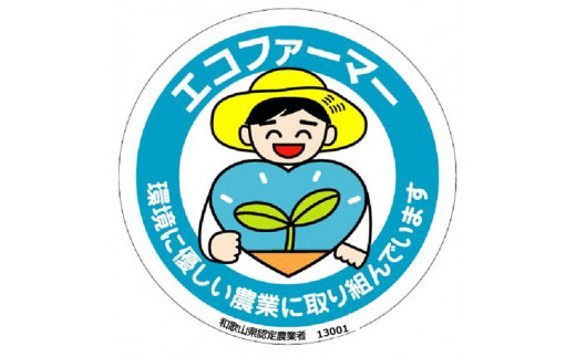 採れたてタネなし柿 2Lサイズ32個入7.5kg箱 / 柿 フルーツ 果物 くだもの 甘柿 タネなし  食品 人気 おすすめ 送料無料 和歌山 【art020A】