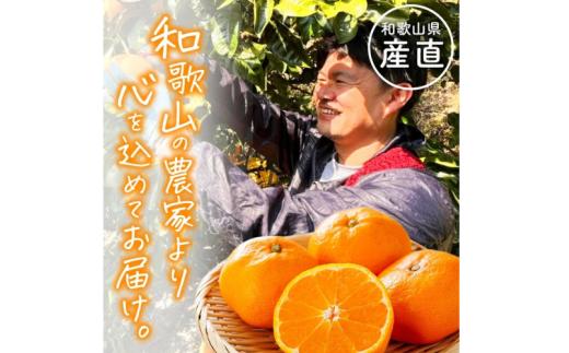 【全4回】和歌山旬のカンキツ定期便【S】3・5・9・11月発送（ご家庭用）※北海道・沖縄県・離島への配送不可 / 春の柑橘 初夏の柑橘 青切り 有田みかん 完熟有田みかん フルーツ くだもの 果物【ard-tkb905】