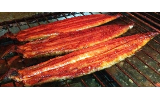  大型サイズ ふっくら柔らか国産うなぎ蒲焼き ２尾/うなぎ 蒲焼 鰻 国産 冷凍 【uot302A-3】