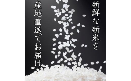 蜥梧ュ悟アア逵檎肇 繧ュ繝後ヲ繧ォ繝ェ 2kg(2025蟷エ逕」) / 逋ス邀ウ 繧ウ繝。 逕」蝨ー逶エ騾 邀ウ 縺薙a 縺秘」ッ 縺斐ッ繧 繧ウ繧キ繝偵き繝ェ 縲尽ml138縲