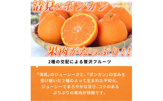 【先行予約】紀州有田産不知火(しらぬひ) 2.5kg　※2025年2月中旬頃～2025年3月中旬頃に順次発送予定（お届け日指定不可）/みかん 不知火 和歌山 フルーツ 有田 果物【uot794】