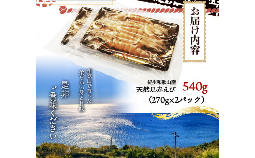  紀州和歌山産天然足赤えび540g（270g×2パック）化粧箱入 ※2024年11月上旬～2025年2月下旬頃順次発送予定（お届け日指定不可）/ 海老 エビ えび クマエビ 足赤 天然 おかず 【uot772A】