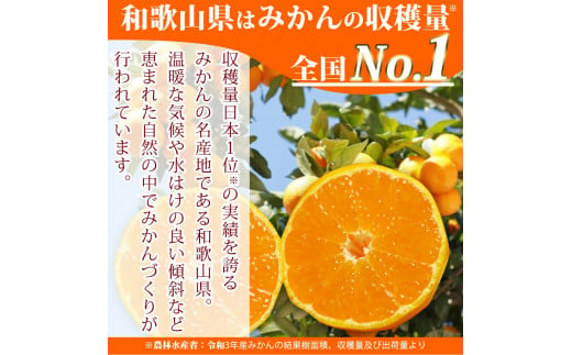 紀州和歌山まるごとみかんゼリー 145g×12個（6個入×2箱） ※2024年10月上旬頃より発送予定 / みかん 蜜柑 フルーツ 果物 くだもの ゼリー　【uot791】