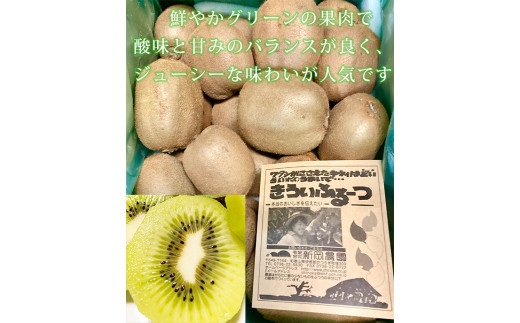 紀州かつらぎ山のキウイフルーツ約３ｋｇ ※2025年1月中旬～2月上旬頃に順次発送予定(お届け日指定不可) / キウイ キウイフルーツ フルーツ 果物 くだもの 　【uot792】