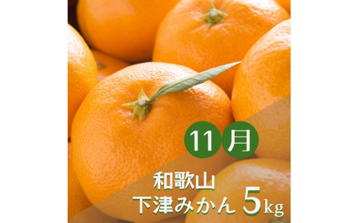 【3か月定期便】みかんの名産地和歌山発！秋のみかん定期便♪ゆら早生みかん・下津みかん・有田みかん / みかんセット 和歌山 柑橘 果物 フルーツ 希少 3回【tkb362】