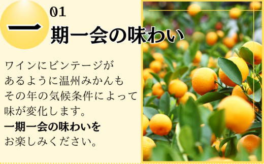  きみの蜜柑ジュース 180mL×6本 / 果汁 ジュース みかんジュース オレンジジュース  ドリンク ミカン セット 有機 無添加 100% 【kmf005】