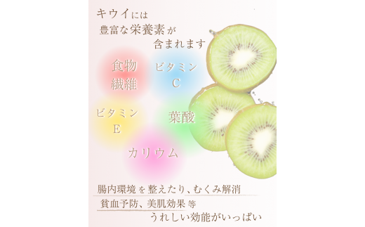 ＜2024年11月より発送＞厳選 キウイフルーツ2kg+60g（傷み補償分）※北海道・沖縄・離島配送不可 / 和歌山 フルーツ 果物 くだもの 旬 キウイフルーツ キウイ 栄養たっぷり【ikd702】