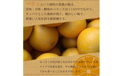 紀州和歌山産 八朔（はっさく） 約10kg ※2025年2月初旬～下旬頃に順次発送 ※日付指定不可 八朔 はっさく 柑橘 果物 くだもの フルーツ【uot785】