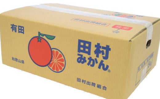 【ブランドみかん】田村みかん約5kg（Sサイズ・秀品）【2024年11月下旬～2024年12月下旬頃より順次発送】 / 果物 くだもの フルーツ 蜜柑 みかん 【tec883】