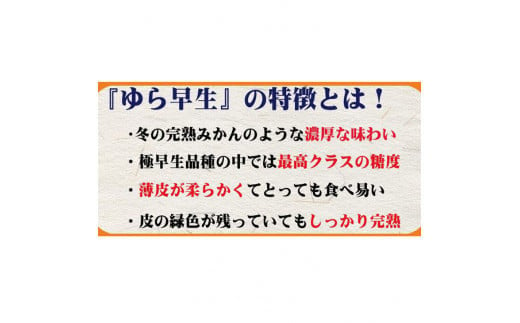 【7kg×2箱】濃厚な味わいゆら早生みかん合計14kg【10月上旬より発送】希少品種《有機質肥料100％》※2024年10月上旬より順次発送予定【nuk003A】