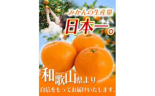 【2027年1月発送予約分】＼光センサー選別／ 【農家直送】【家庭用】こだわりの有田みかん 5kg＋150g(傷み補償分) 先行予約 有機質肥料100% サイズ混合 【1月発送】 ※北海道・沖縄・離島配送不可/みかん ミカン 有田みかん 温州みかん 柑橘 有田 和歌山 産地直送【nuk004-c-5-janI】