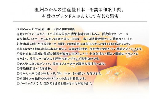 【予約受付】ブランド有田みかん　秀品5キロ サイズお任せ　※2024年10月下旬～2025年1月中旬頃発送予定（お届け日指定不可）　紀伊国屋文左衛門本舗/みかん蜜柑柑橘有田みかん果物フルーツ  【kmtb140】