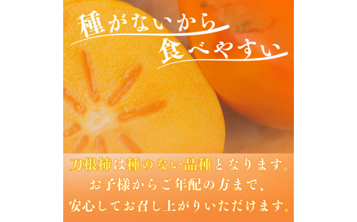 【☆令和7年産☆先行予約】たねなし柿 刀根柿【ご家庭用サイズおまかせ】(約7.5kg以上)【2025年9月下旬～10月上旬に順次発送致します。】/ 和歌山県 紀美野町  種なし カキ 柿 かき 刀根 甘い 美味しい【frt002A】